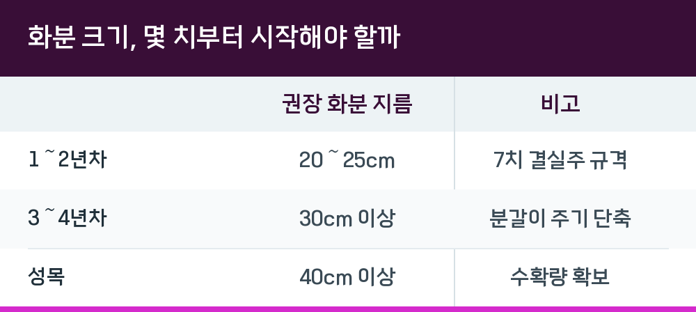화분 크기, 몇 치부터 시작해야 할까