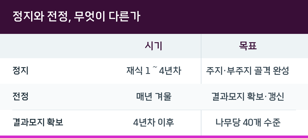 정지와 전정, 무엇이 다른가