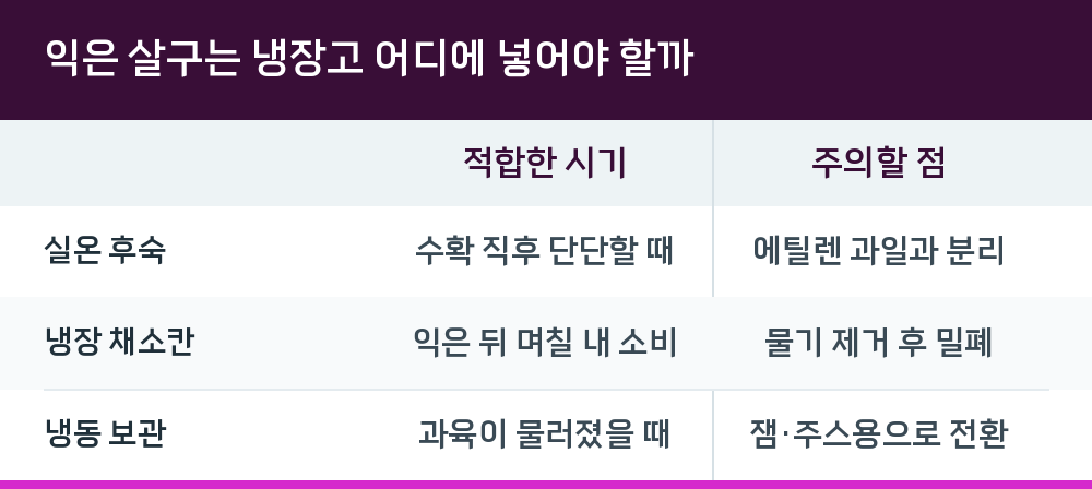 익은 살구는 냉장고 어디에 넣어야 할까