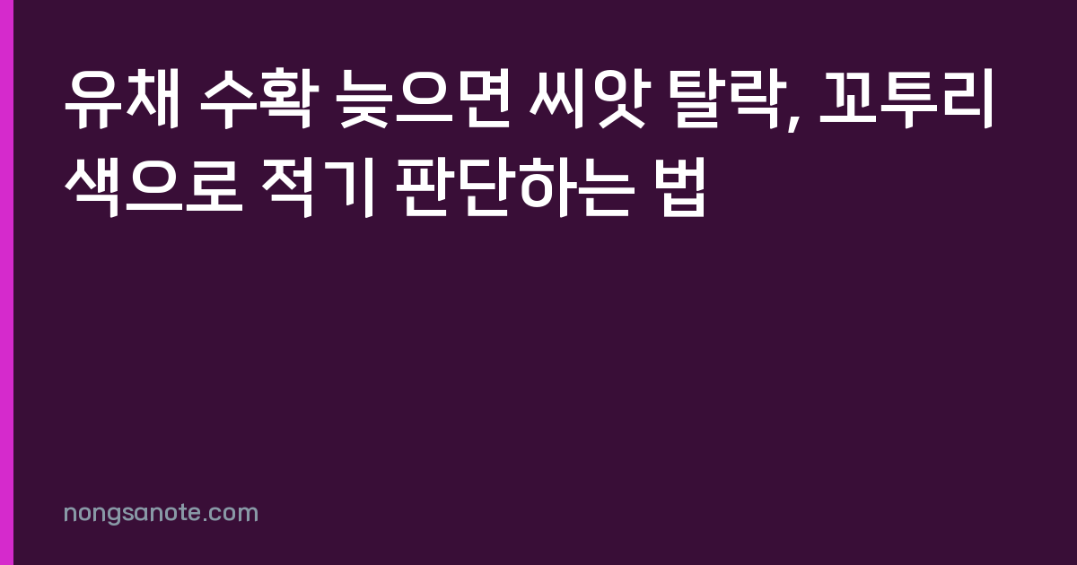 유채 수확 늦으면 씨앗 탈락, 꼬투리 색으로 적기 판단하는 법