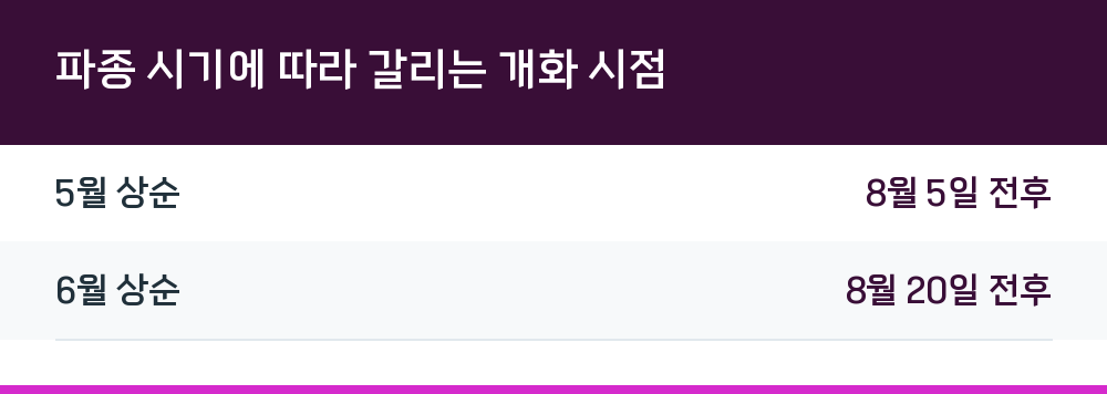 파종 시기에 따라 갈리는 개화 시점