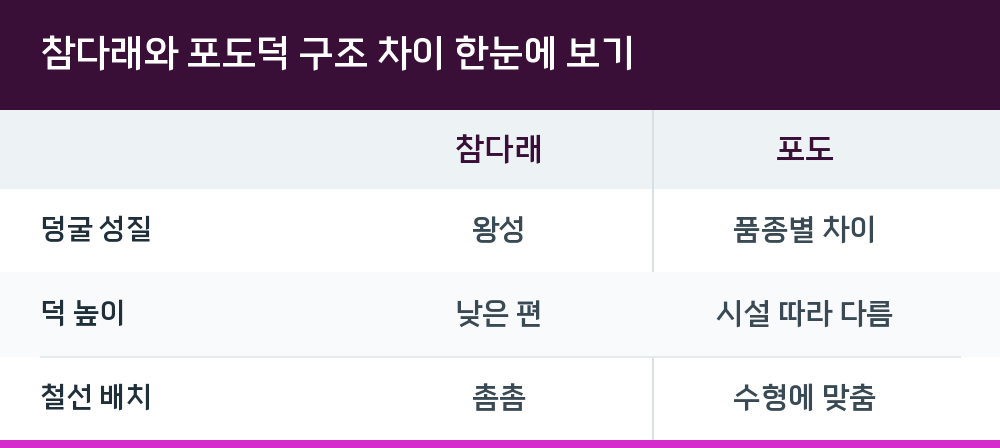 참다래와 포도덕 구조 차이 한눈에 보기