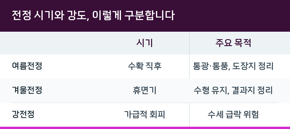 전정 시기와 강도, 이렇게 구분합니다