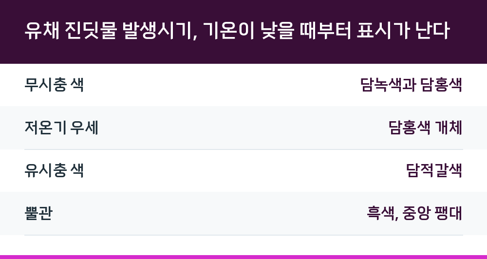 유채 진딧물 발생시기, 기온이 낮을 때부터 표시가 난다