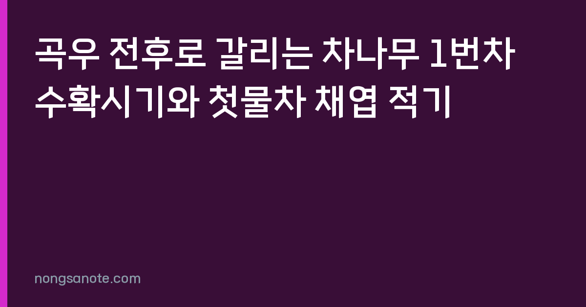 곡우 전후로 갈리는 차나무 1번차 수확시기와 첫물차 채엽 적기