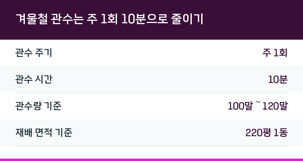 겨울철 관수는 주 1회 10분으로 줄이기