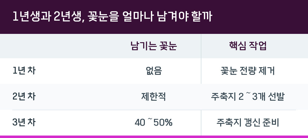 1년생과 2년생, 꽃눈을 얼마나 남겨야 할까