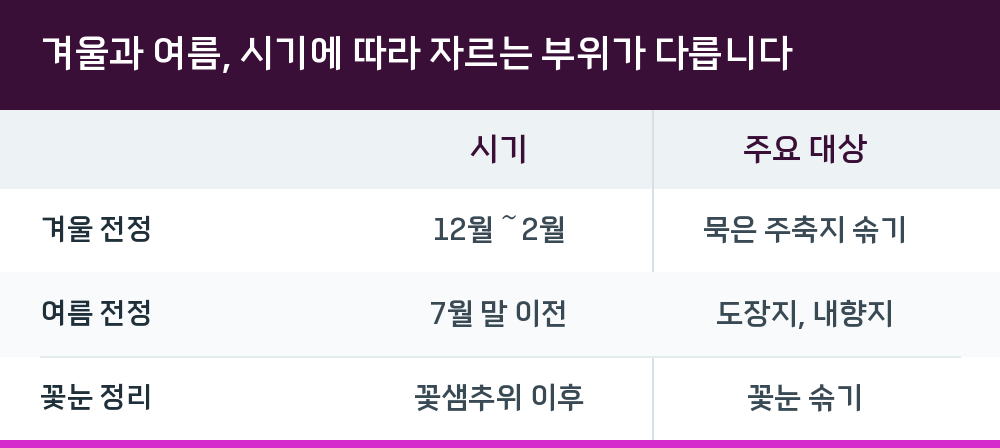 겨울과 여름, 시기에 따라 자르는 부위가 다릅니다