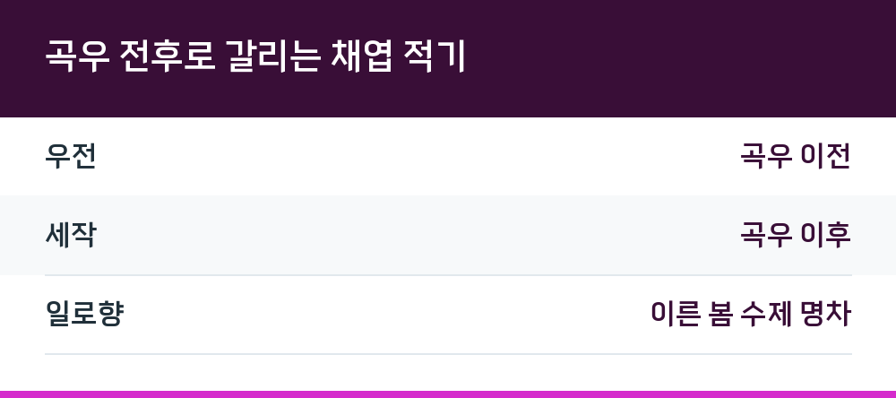 곡우 전후로 갈리는 채엽 적기
