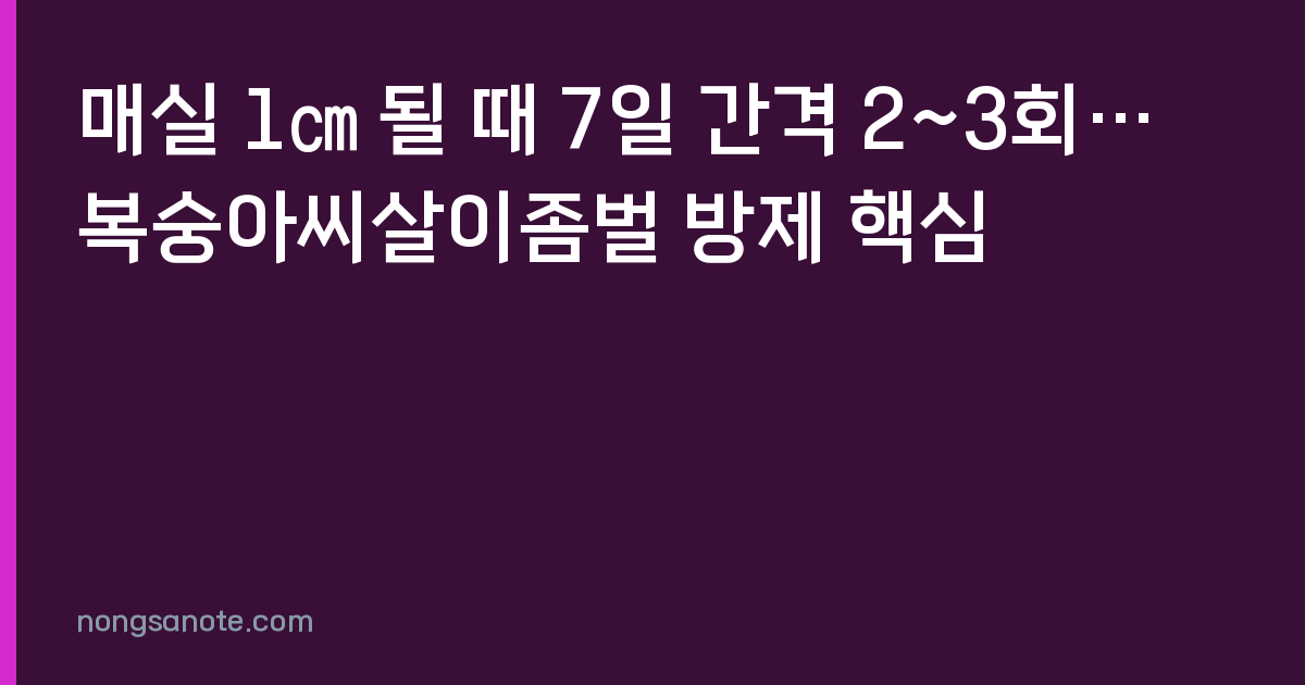 매실 1㎝ 될 때 7일 간격 2~3회…복숭아씨살이좀벌 방제 핵심