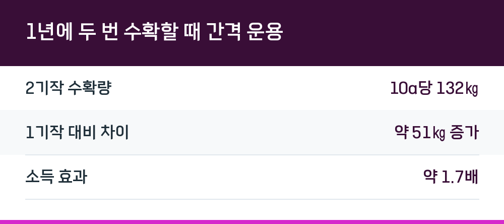 1년에 두 번 수확할 때 간격 운용