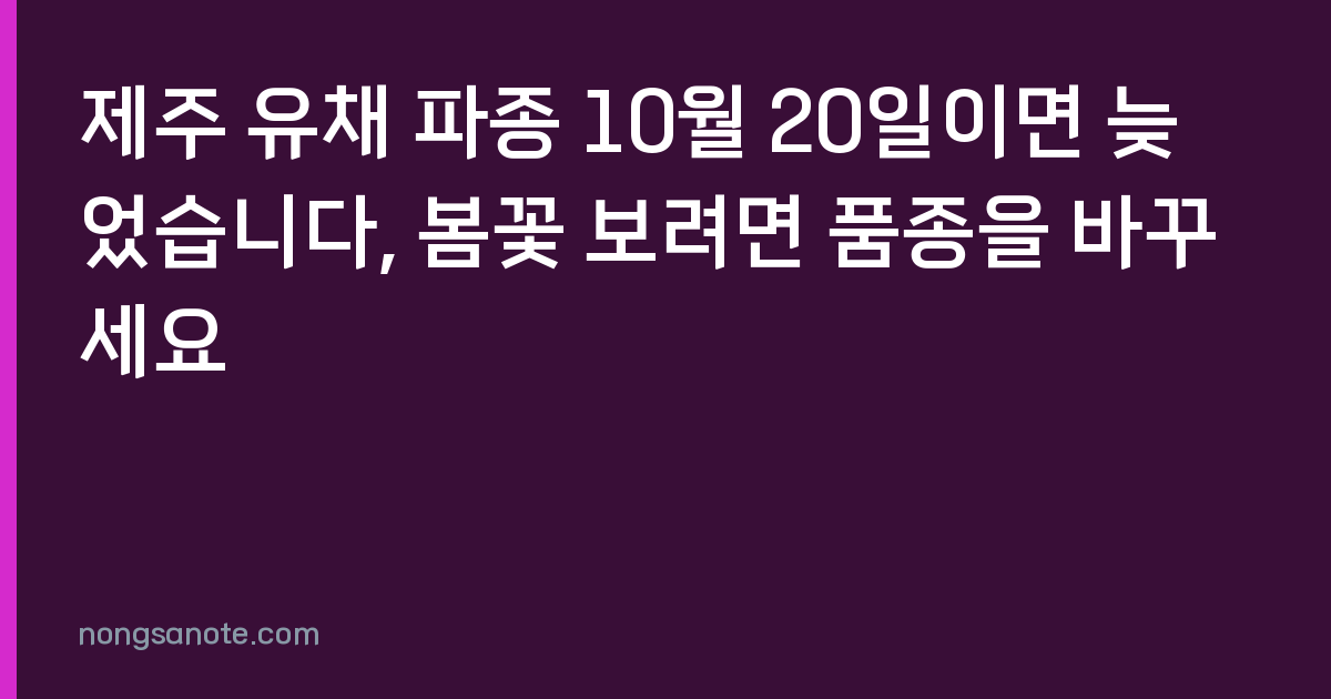 제주 유채 파종 10월 20일이면 늦었습니다, 봄꽃 보려면 품종을 바꾸세요