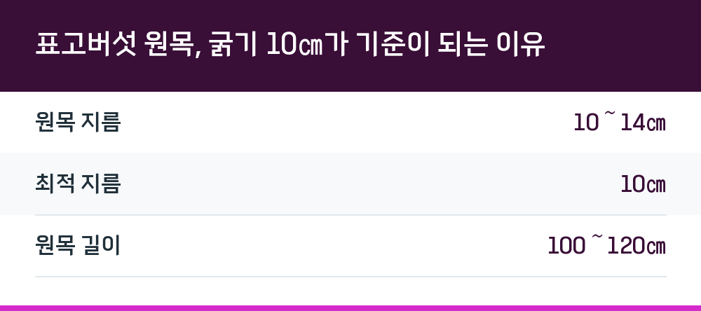 표고버섯 원목, 굵기 10㎝가 기준이 되는 이유