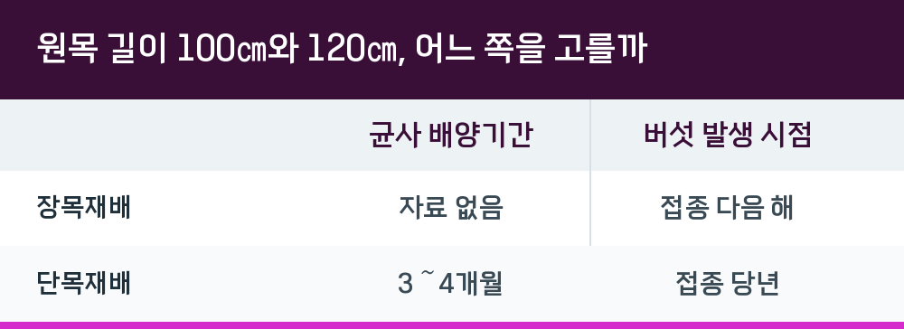 원목 길이 100㎝와 120㎝, 어느 쪽을 고를까