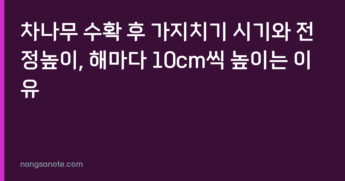 차나무 수확 후 가지치기 시기와 전정높이, 해마다 10cm씩 높이는 이유