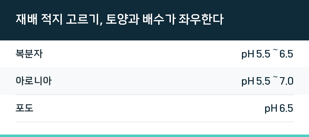 재배 적지 고르기, 토양과 배수가 좌우한다