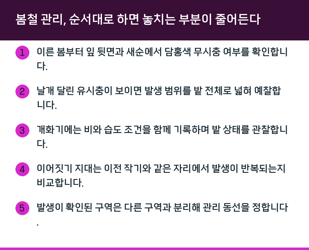 봄철 관리, 순서대로 하면 놓치는 부분이 줄어든다