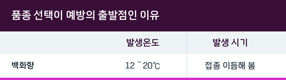 품종 선택이 예방의 출발점인 이유