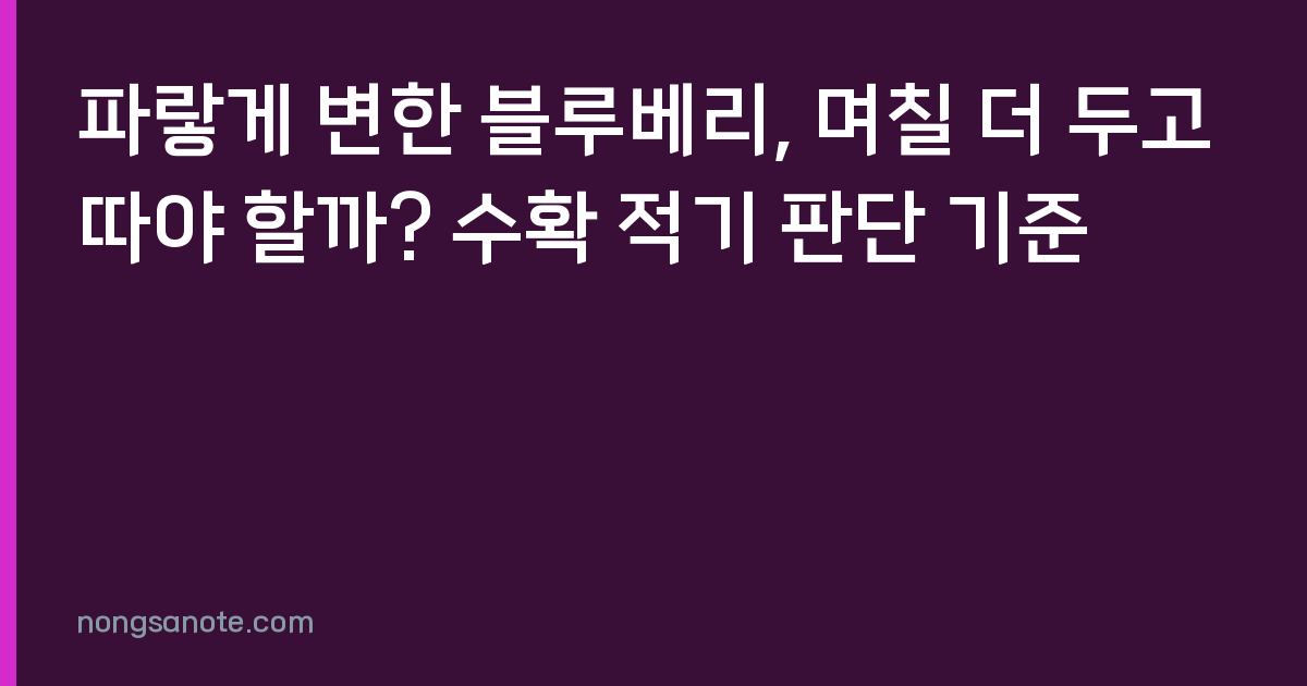 파랗게 변한 블루베리, 며칠 더 두고 따야 할까? 수확 적기 판단 기준