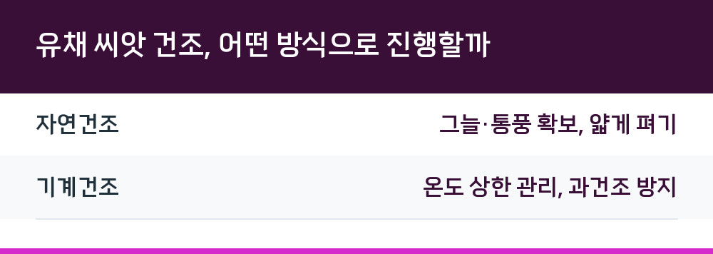 유채 씨앗 건조, 어떤 방식으로 진행할까