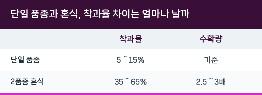 단일 품종과 혼식, 착과율 차이는 얼마나 날까