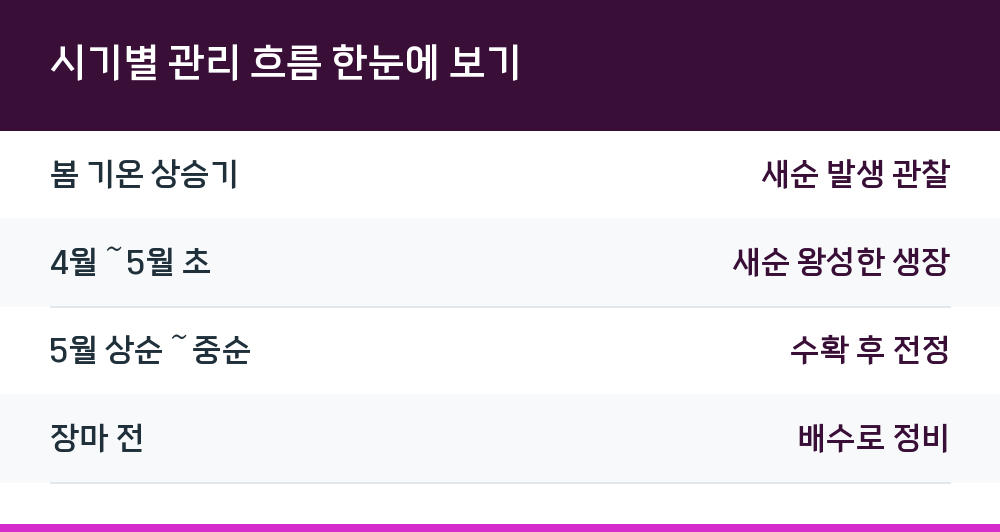 시기별 관리 흐름 한눈에 보기