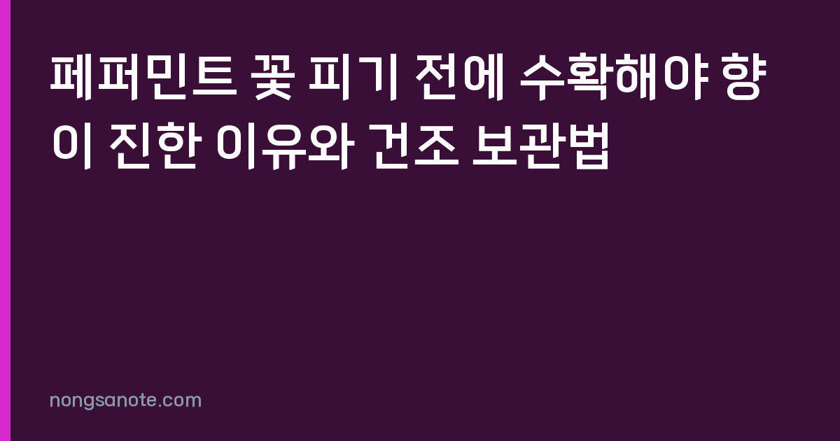 페퍼민트 꽃 피기 전에 수확해야 향이 진한 이유와 건조 보관법