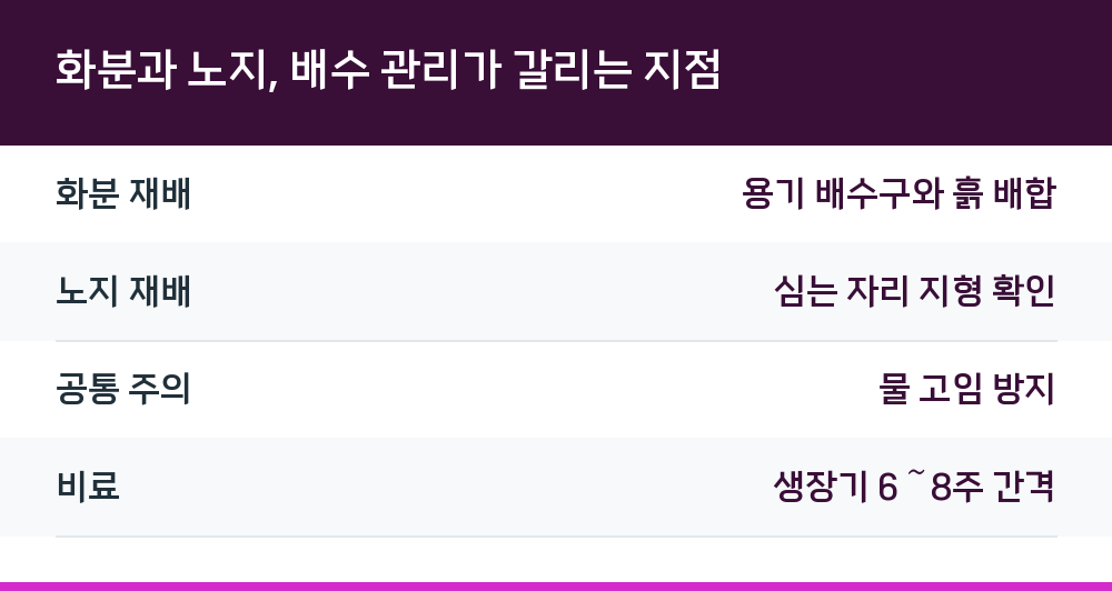 화분과 노지, 배수 관리가 갈리는 지점