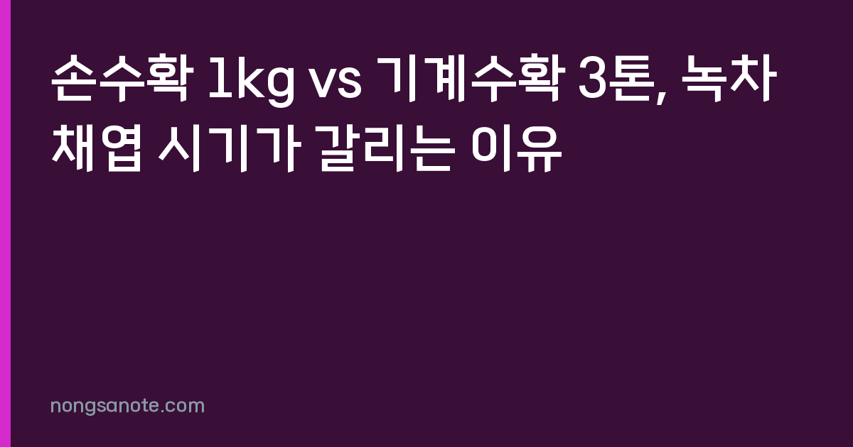 손수확 1kg vs 기계수확 3톤, 녹차 채엽 시기가 갈리는 이유