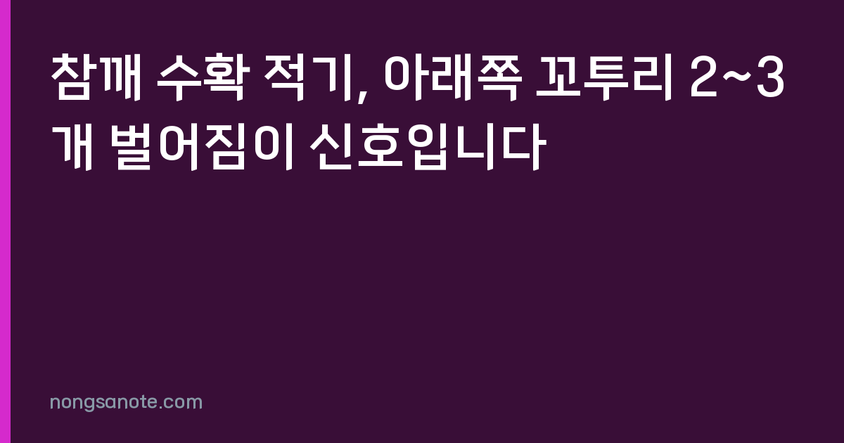 참깨 수확 적기, 아래쪽 꼬투리 2~3개 벌어짐이 신호입니다