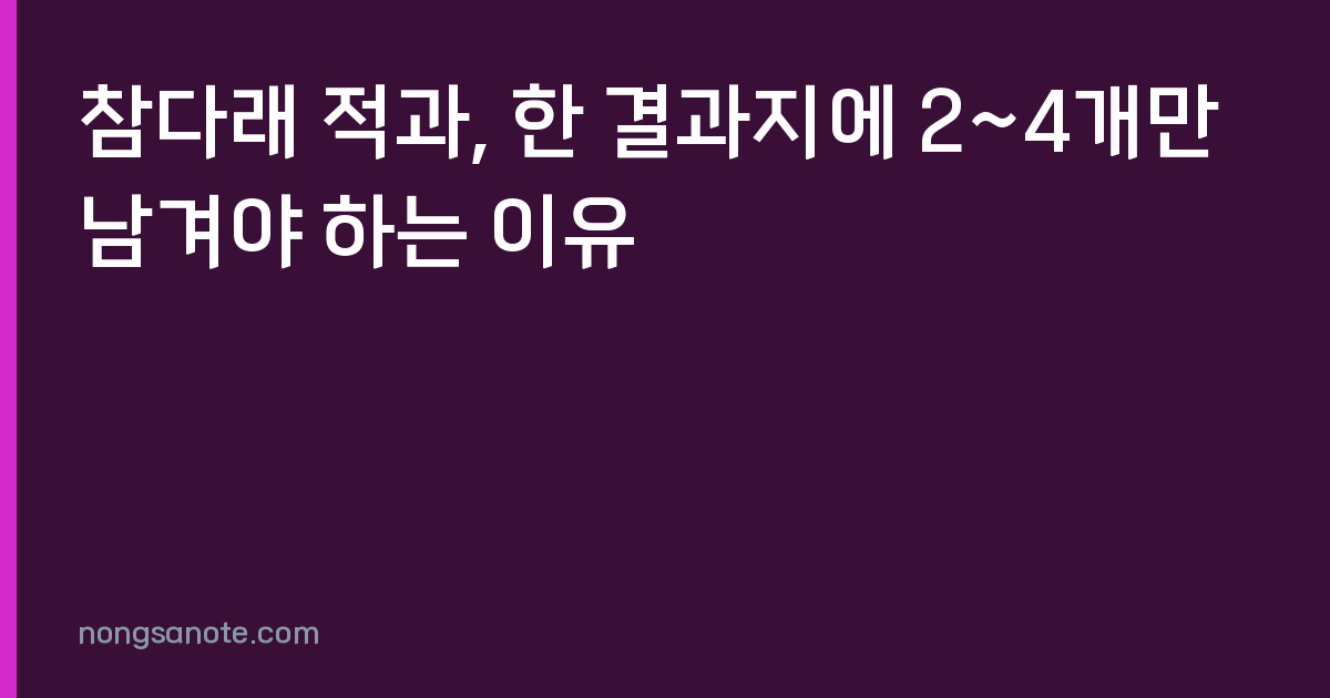 참다래 적과, 한 결과지에 2~4개만 남겨야 하는 이유