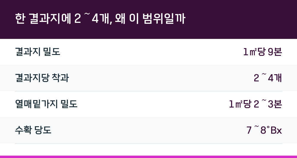 한 결과지에 2～4개, 왜 이 범위일까