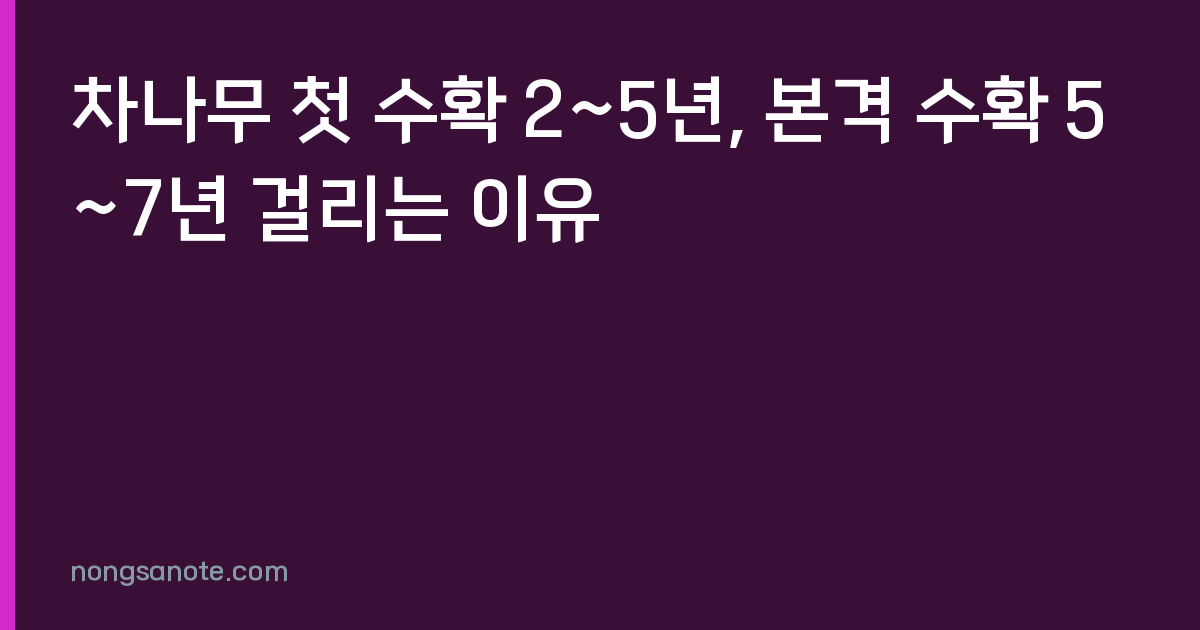 차나무 첫 수확 2~5년, 본격 수확 5~7년 걸리는 이유