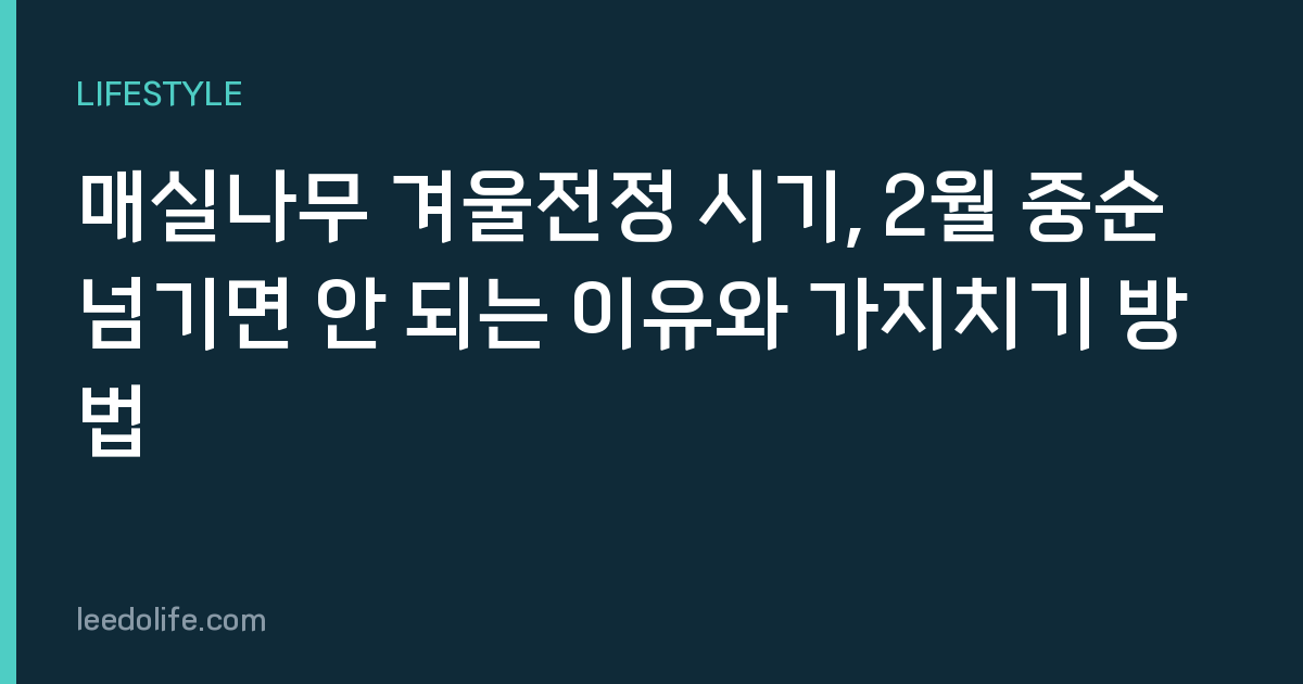 매실나무 겨울전정 시기, 2월 중순 넘기면 안 되는 이유와 가지치기 방법
