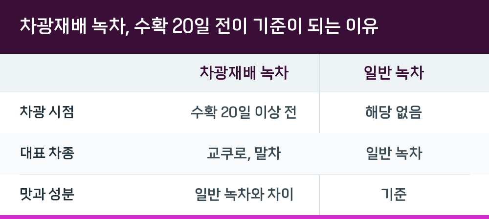 차광재배 녹차, 수확 20일 전이 기준이 되는 이유