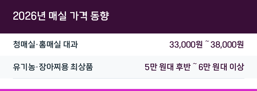 2026년 매실 가격 동향