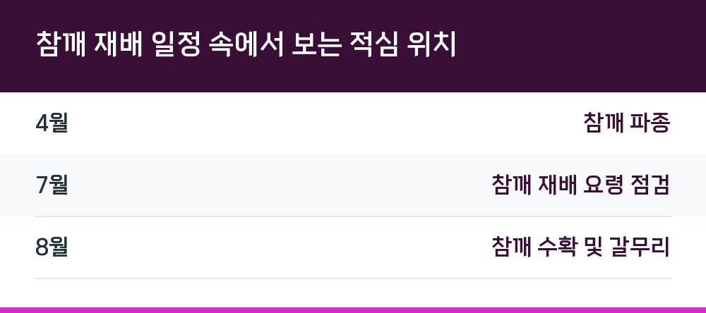 참깨 재배 일정 속에서 보는 적심 위치