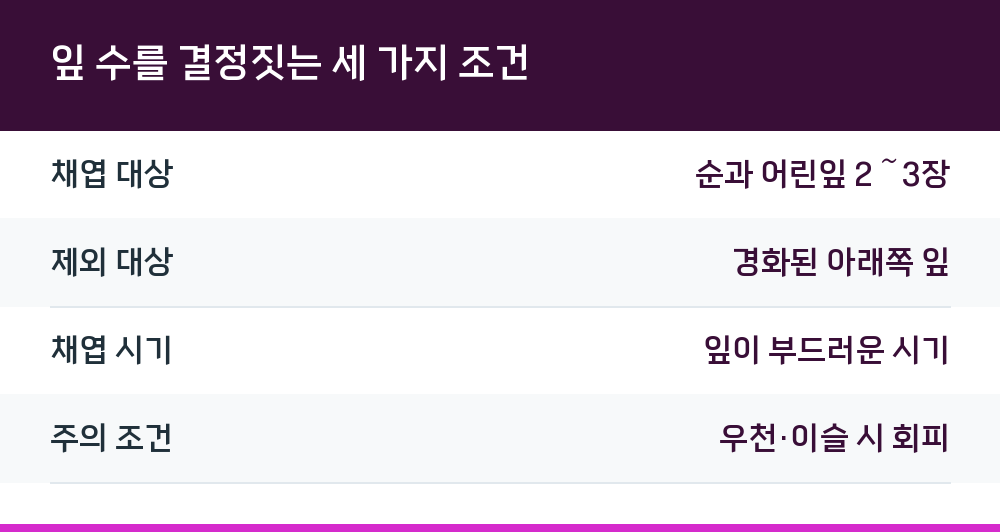 잎 수를 결정짓는 세 가지 조건