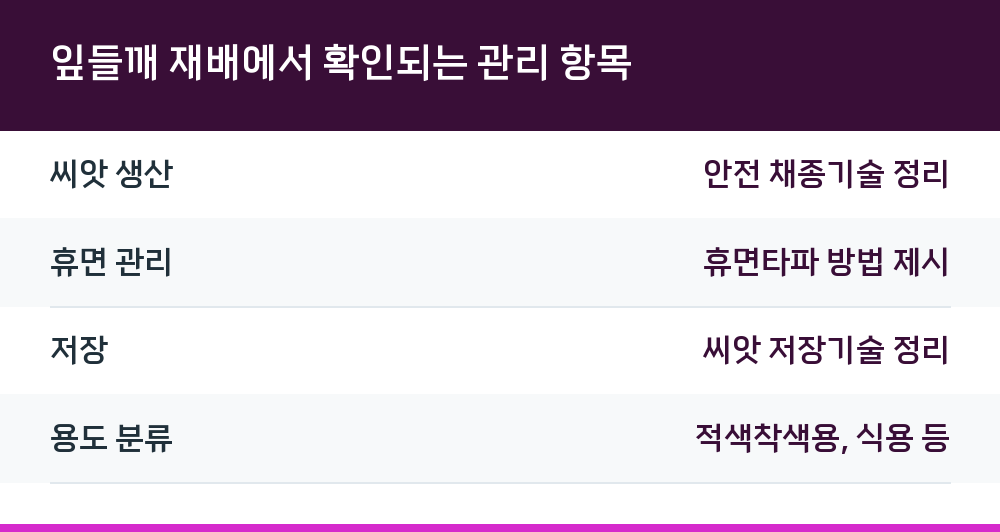 잎들깨 재배에서 확인되는 관리 항목