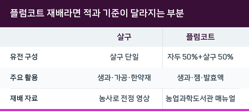 플럼코트 재배라면 적과 기준이 달라지는 부분