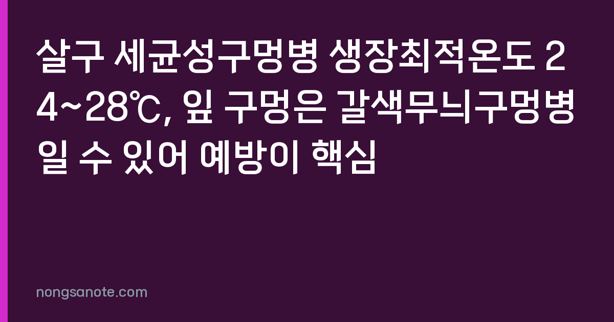 살구 세균성구멍병 생장최적온도 24~28℃, 잎 구멍은 갈색무늬구멍병일 수 있어 예방이 핵심
