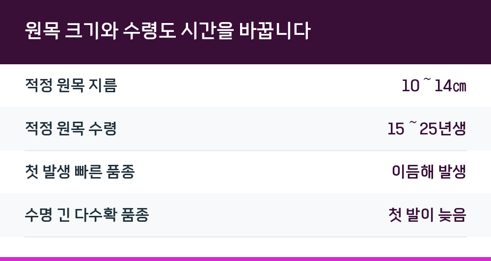 원목 크기와 수령도 시간을 바꿉니다