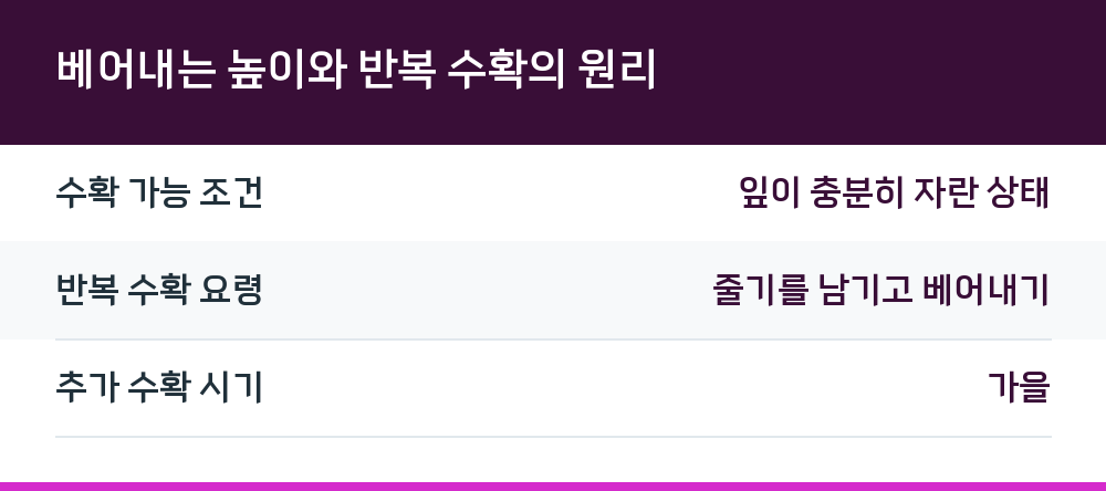 베어내는 높이와 반복 수확의 원리