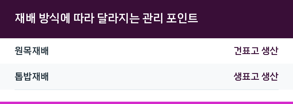재배 방식에 따라 달라지는 관리 포인트
