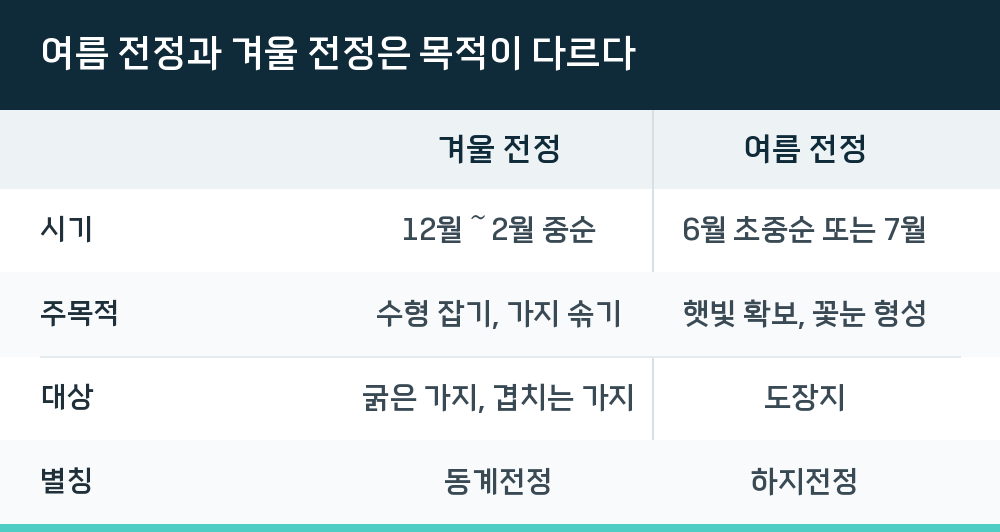 여름 전정과 겨울 전정은 목적이 다르다