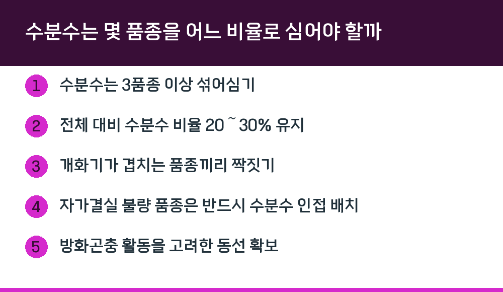 수분수는 몇 품종을 어느 비율로 심어야 할까