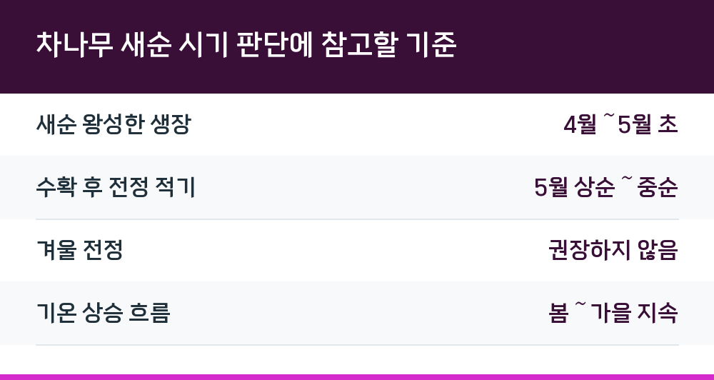 차나무 새순 시기 판단에 참고할 기준