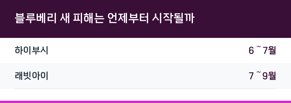 블루베리 새 피해는 언제부터 시작될까