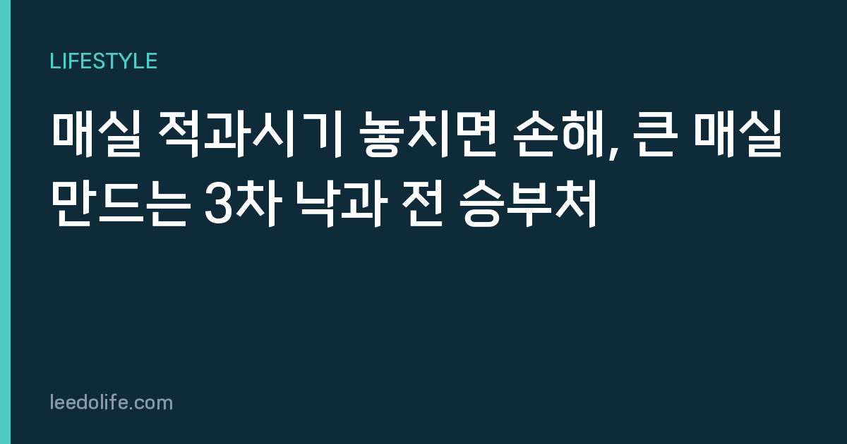 매실 적과시기 놓치면 손해, 큰 매실 만드는 3차 낙과 전 승부처