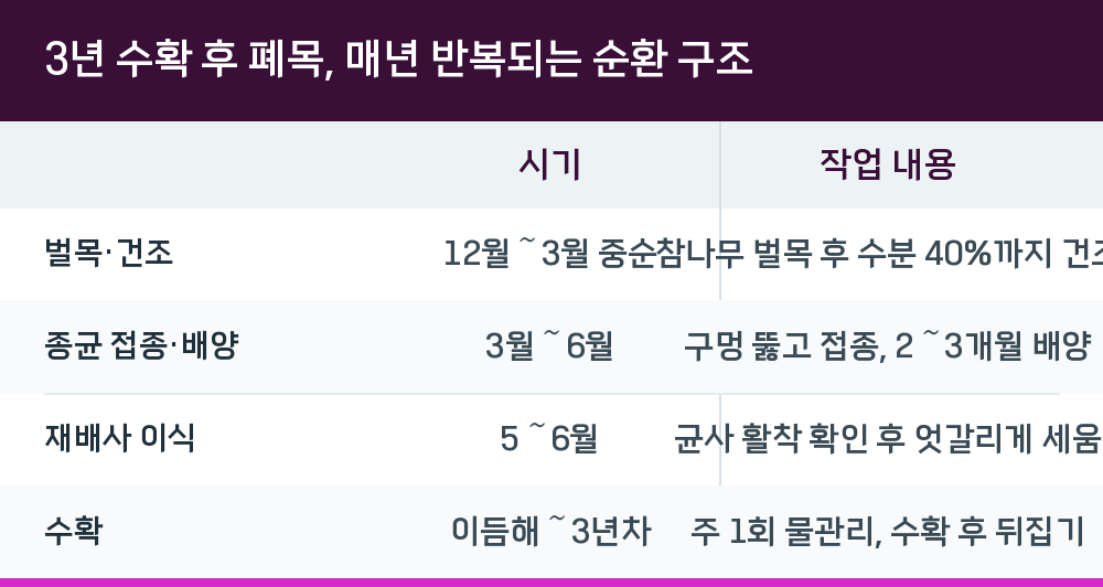 3년 수확 후 폐목, 매년 반복되는 순환 구조